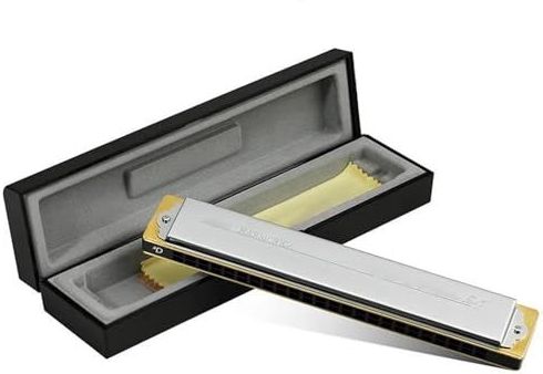 24 Gats Tremolo Mondharmonica Polyfonie Diatonische C Toonsoort Zilver(Rising D)
