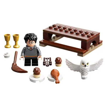LEGO® Harry Potter™ 30420 - Harry und Hedwig Eulenlieferung