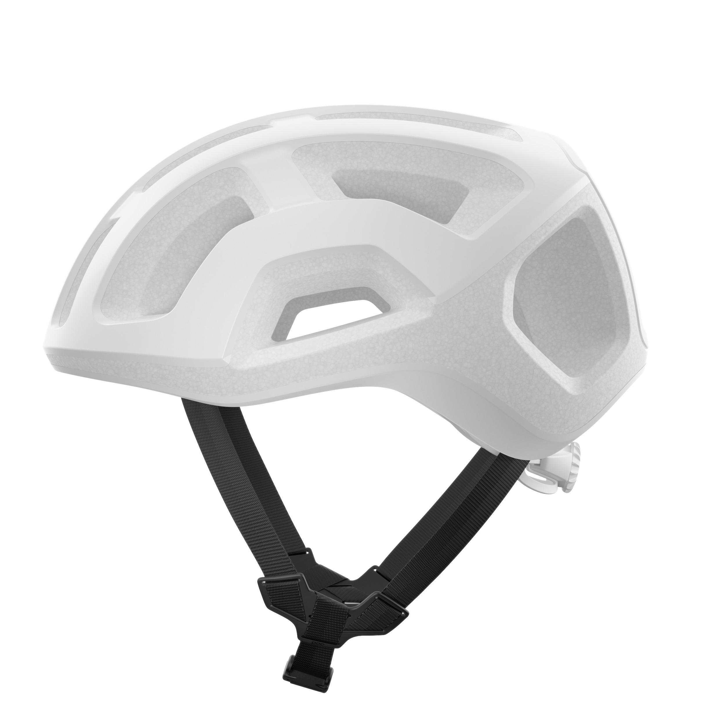Ventral Lite