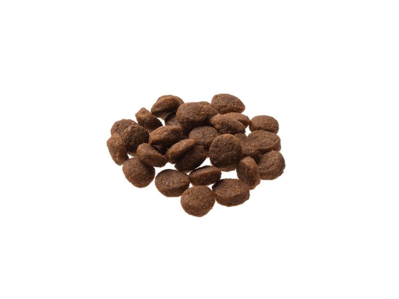 GranataPet Trockenfutter DeliCATessen Geflügel 300 g Alleinfuttermittel für ausgewachsene Katzen