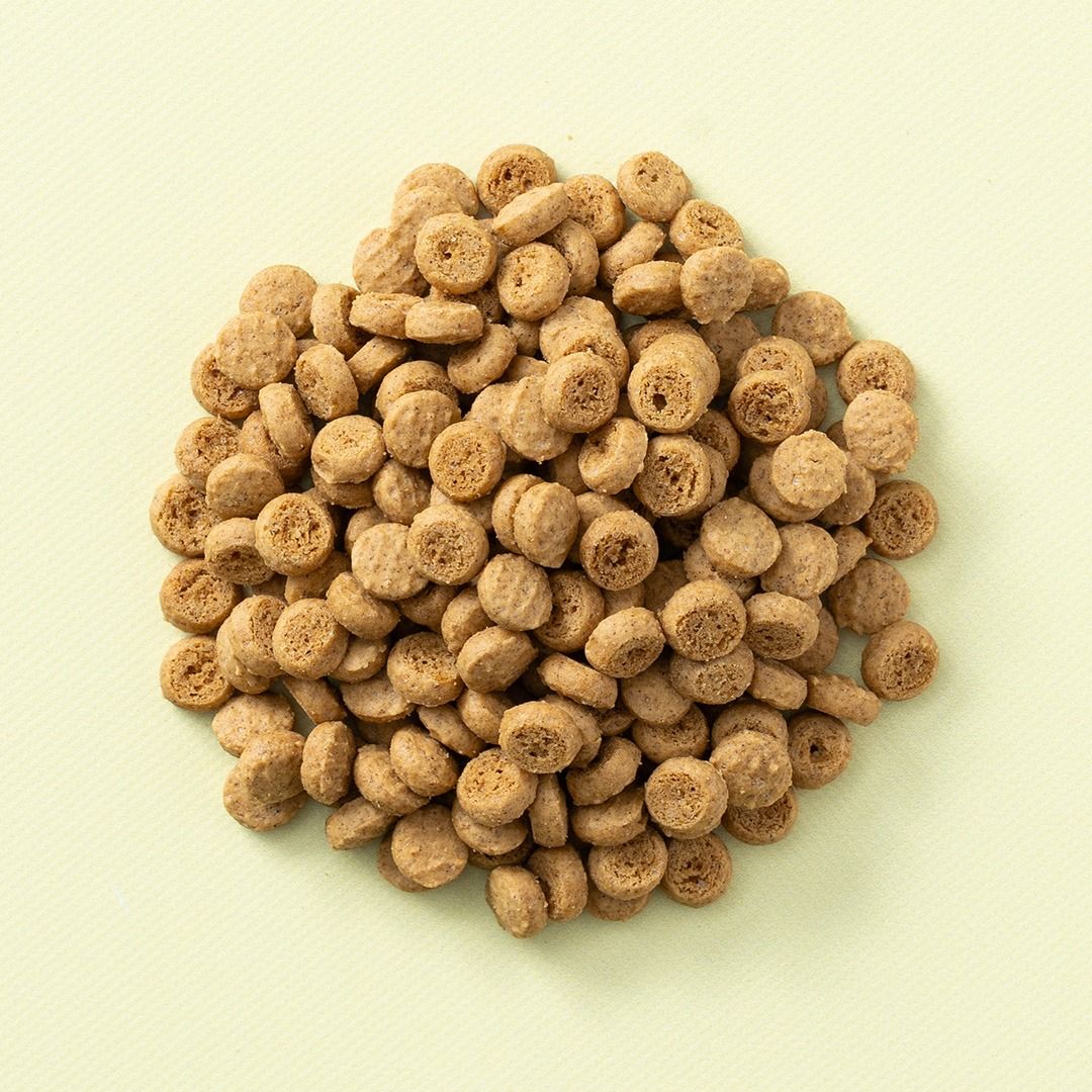 Koekjes strooisel speculaas
