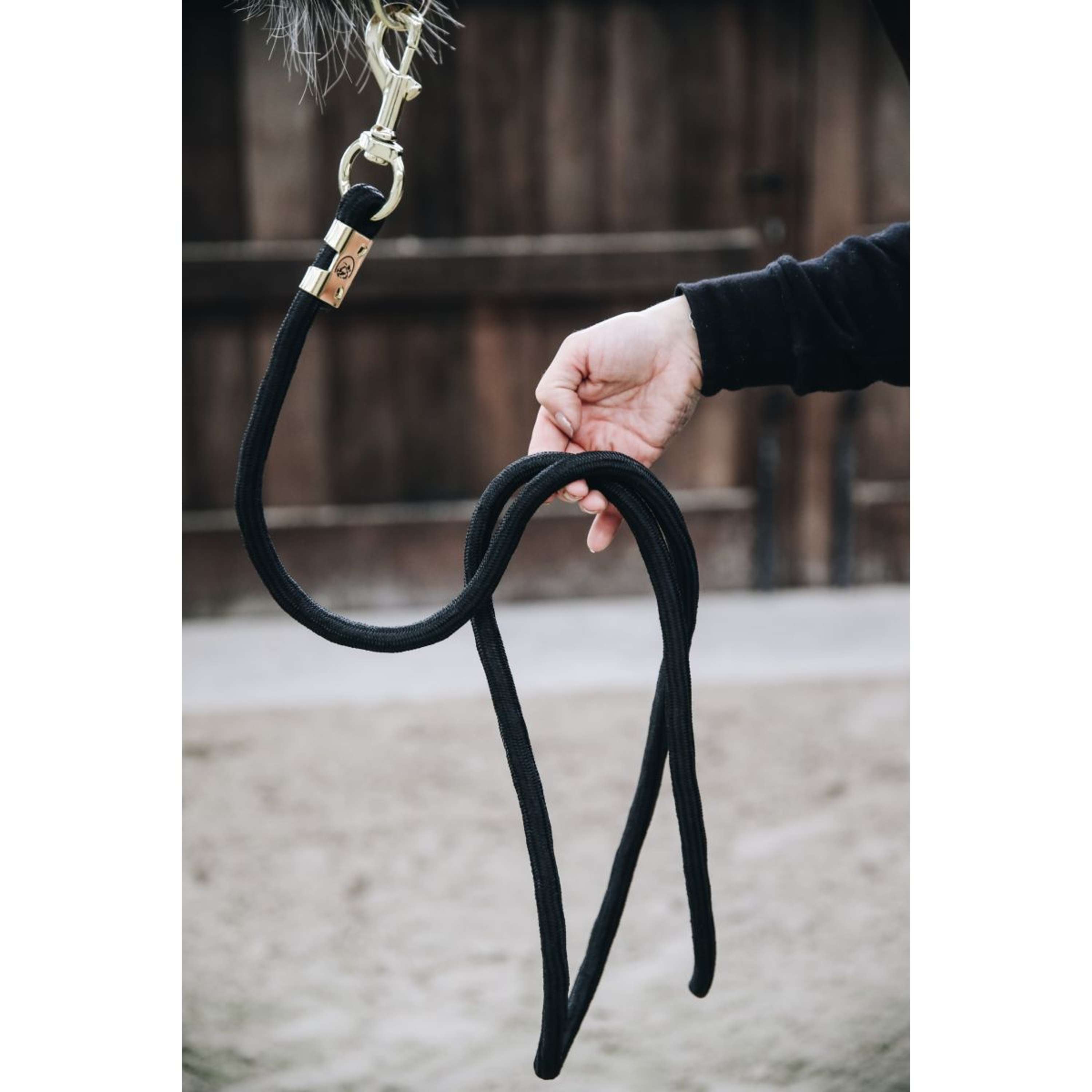 Kentucky Halstertouw Basic Black