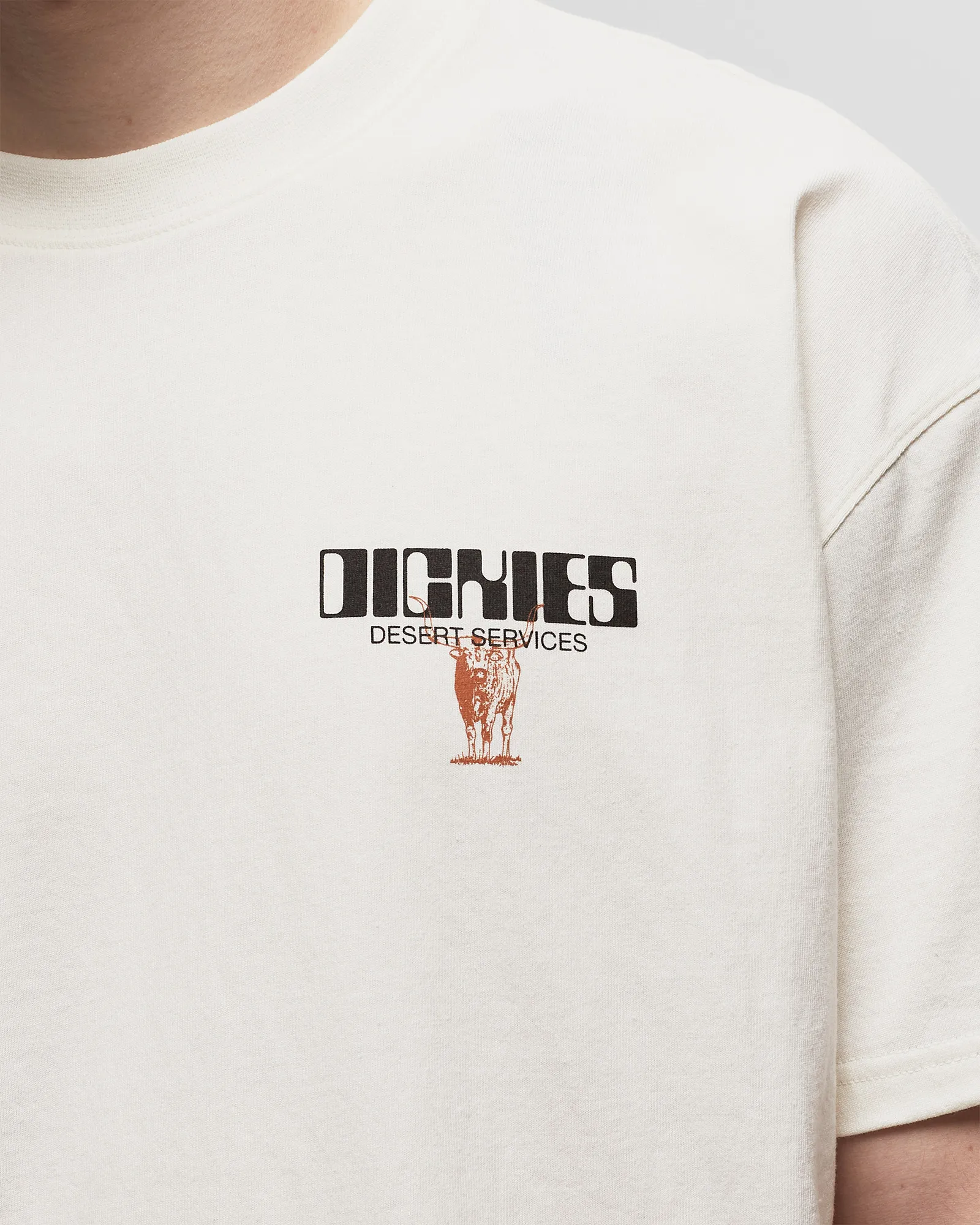 DICKIES PEARISBURG TEE SS CLOUD