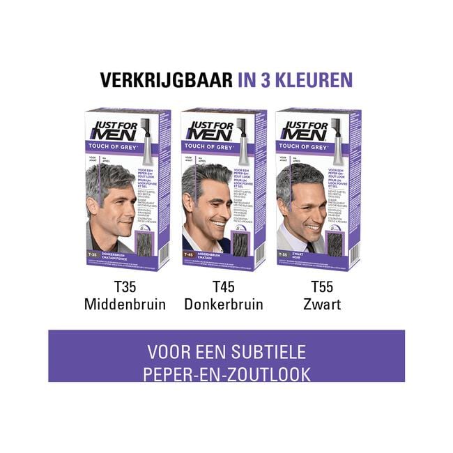 Just For Men Touch of Grey T35