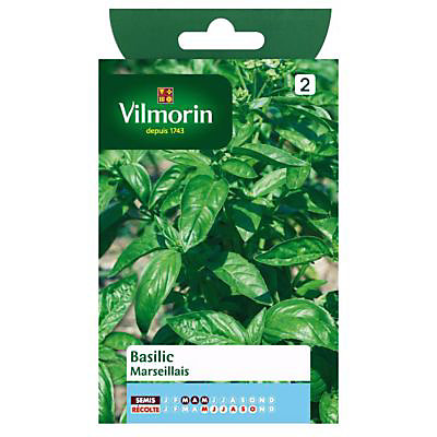 Graines de Basilic Marseillais Vilmorin