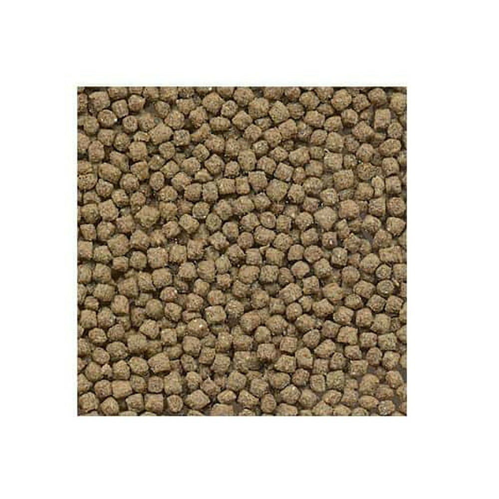 Granulés pour tortue d'eau, aliment complet, 430 g pour tortue