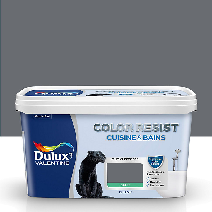 Peinture cuisine et salle de bains Dulux Valentine Color Resist anthracite satin 2L
