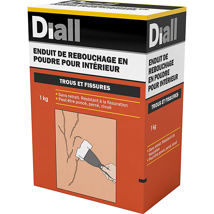 Enduit de rebouchage en poudre Diall 1kg