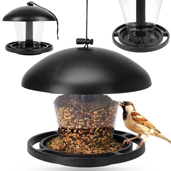 Seed Bird Feeder - Tiltrekk småfugler hele året