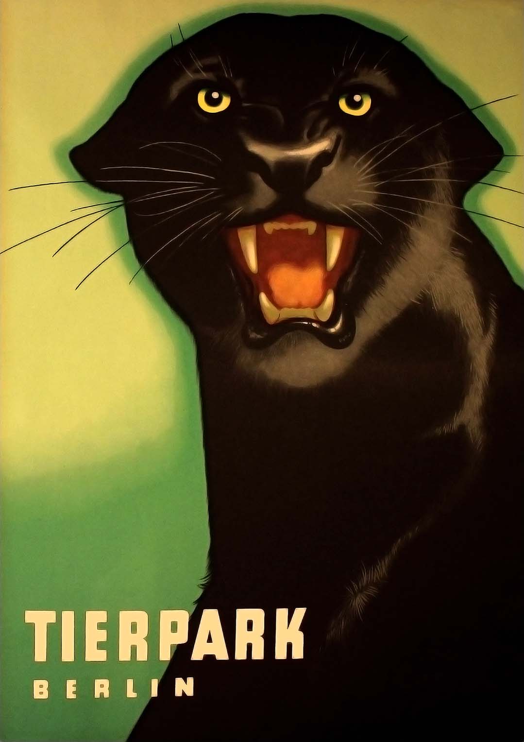 Zoo Tierpark Berlin Panther