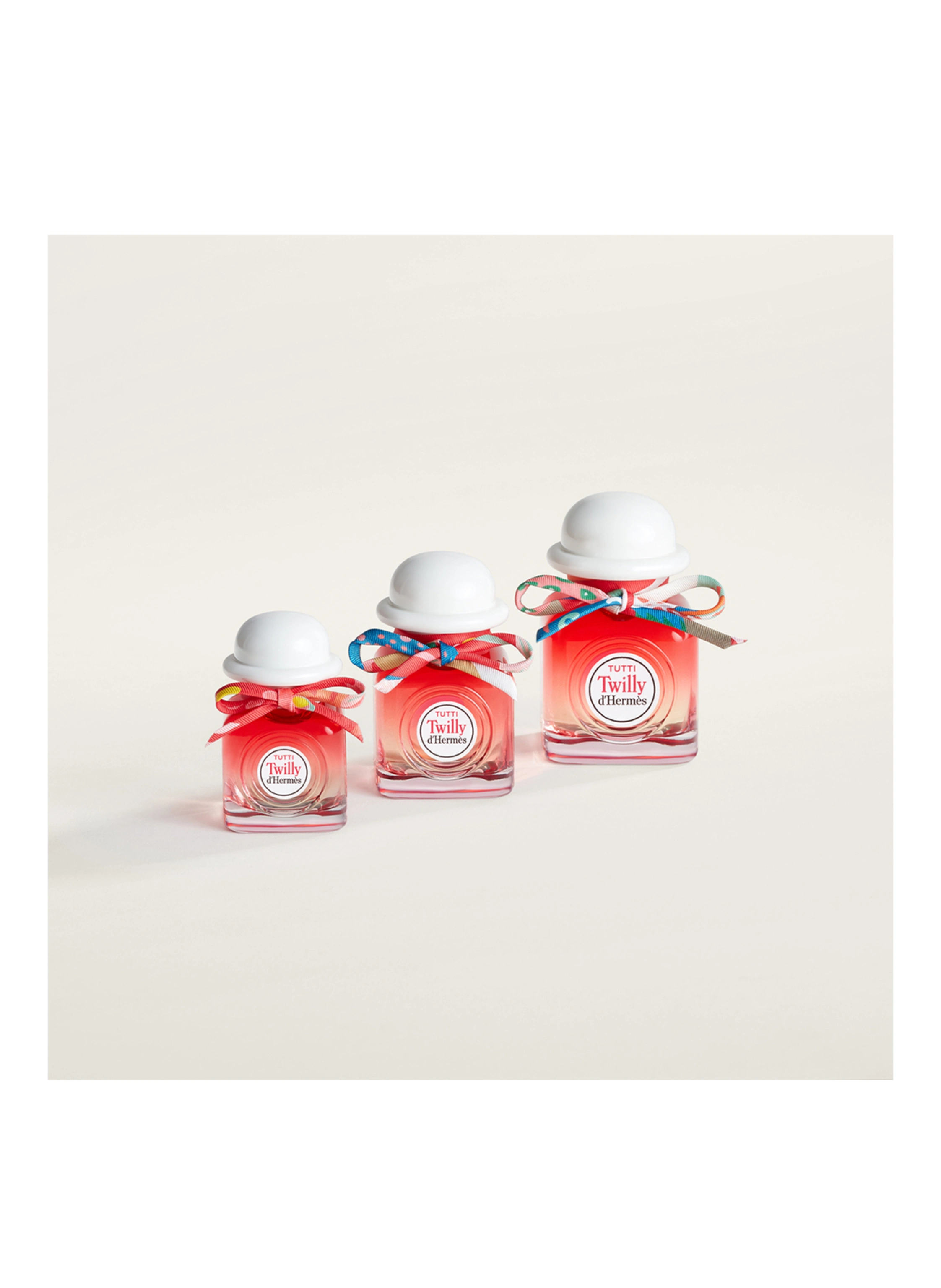 HERMÈS TUTTI TWILLY D'HERMÈS