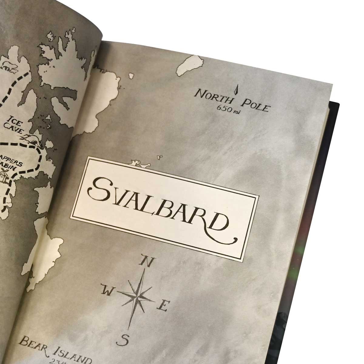 Finding Bear (Hardback)