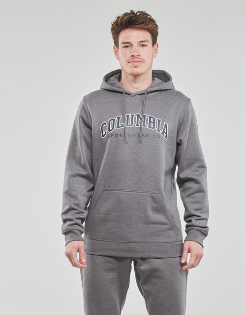 Columbia - CSC BASIC LOGO II HOODIE - Gris