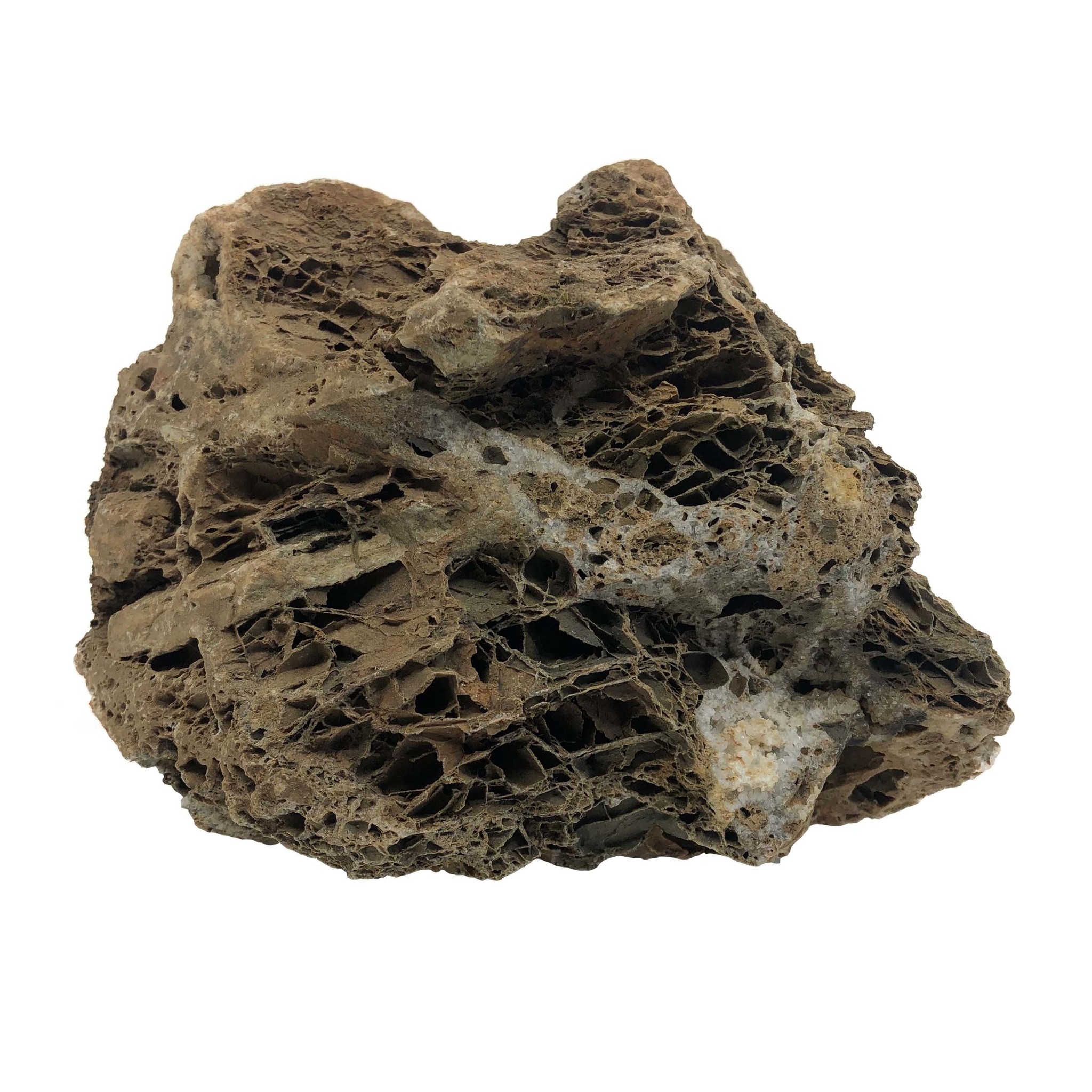 HS Aqua Maple Leaf Rock S 1,0-1,5KG x3