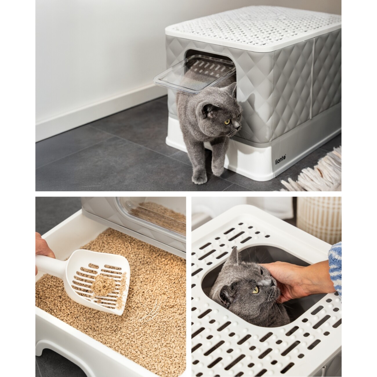 Lionto Katzentoilette FreshBox