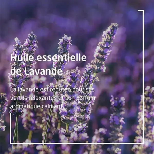 Óleo Relaxante de Lavanda Weleda 100ml