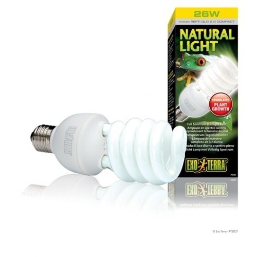 Lâmpada Exo Terra Natural Light de 13W com economia de energia para répteis.