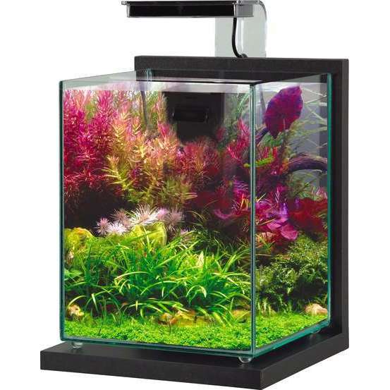 Aquarium équipé Jalaya 2 Gris Anthracite L.23,0P.22,0xH.29,0cm