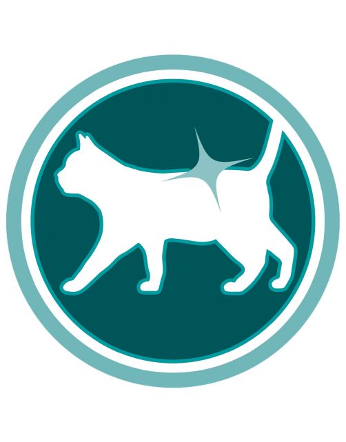 Purina One Adult Zalm&Granen - Kattenvoer