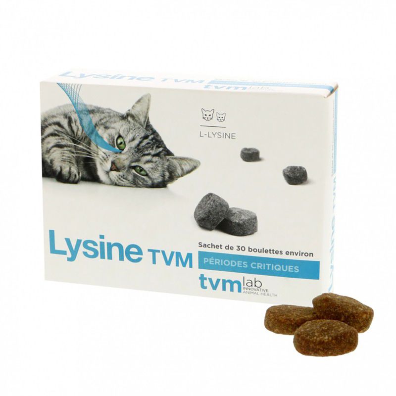 TVM Lysine