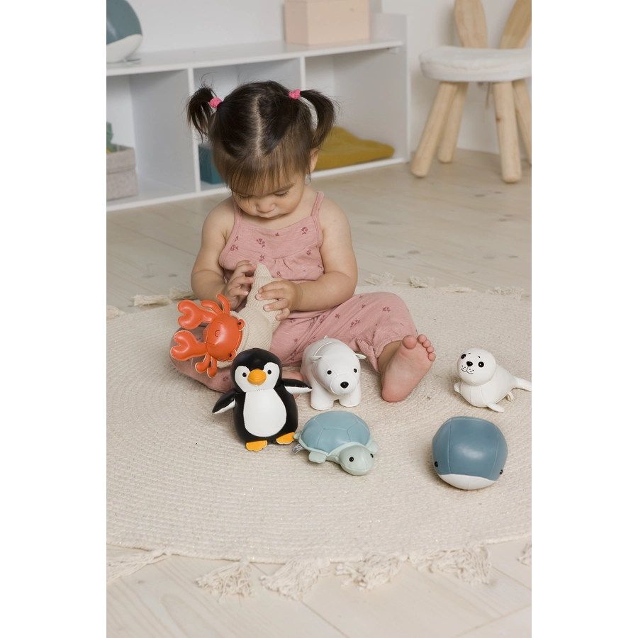 Little Big Friends Die kleinen Freunde - Brigitte der Einsiedlerkrebs