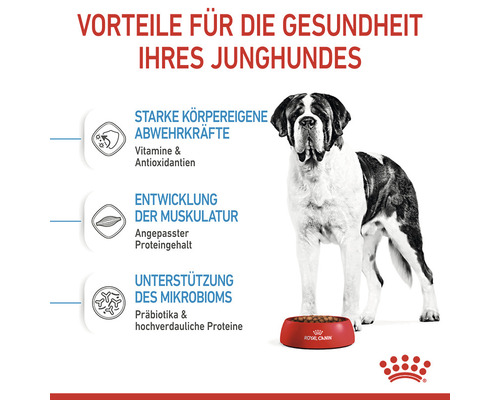 ROYAL CANIN Giant Junior droog hondenvoer voor puppy's van zeer grote rassen, 15 kg