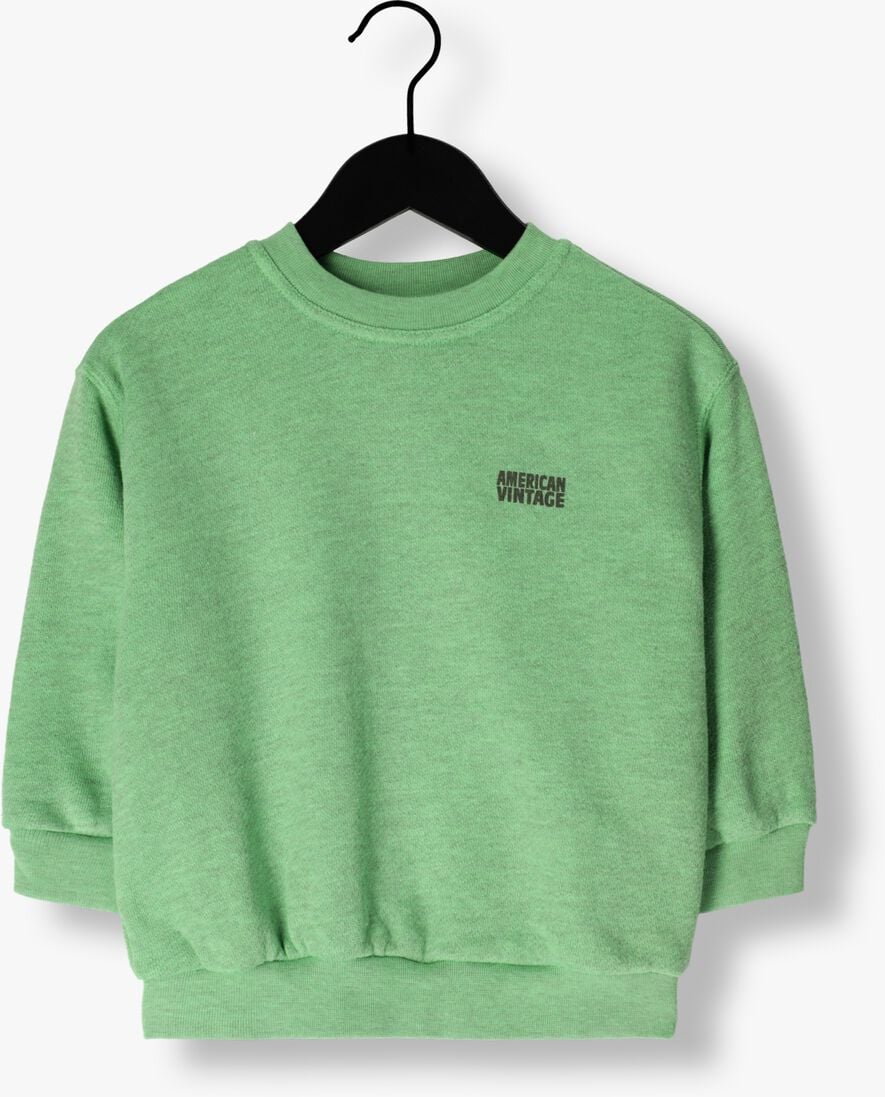AMERICAN VINTAGE groene american vintage trui doven sweater 1