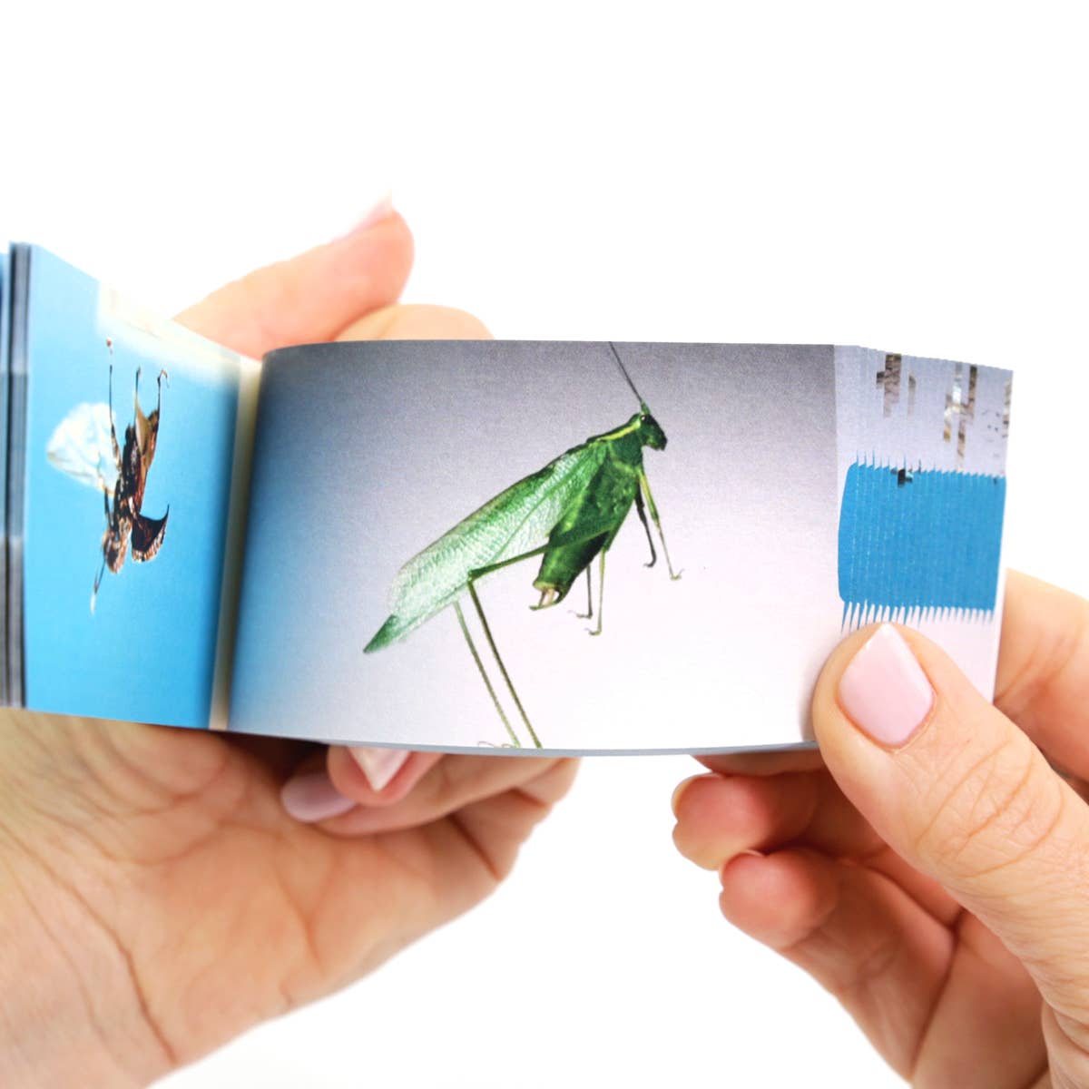 Flipbook Daumenkino 
