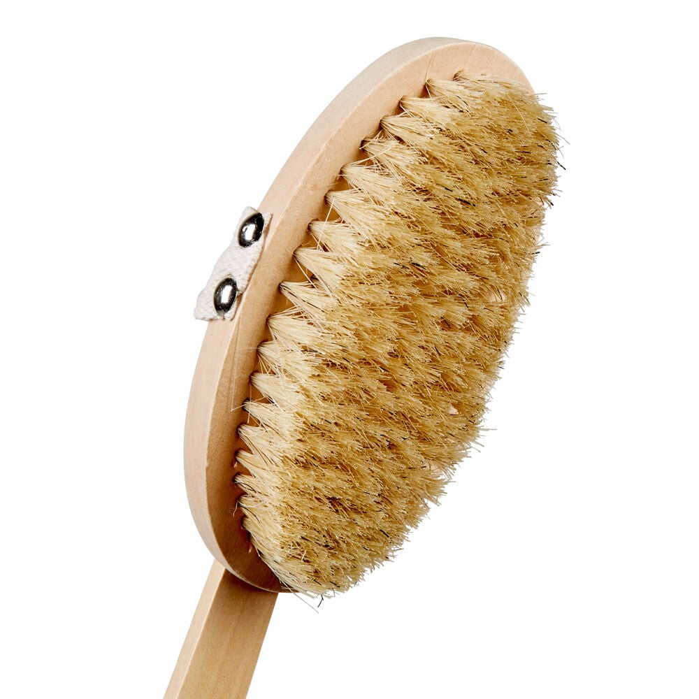 Brosse en crin pour le corps avec manche en bois L42 cm