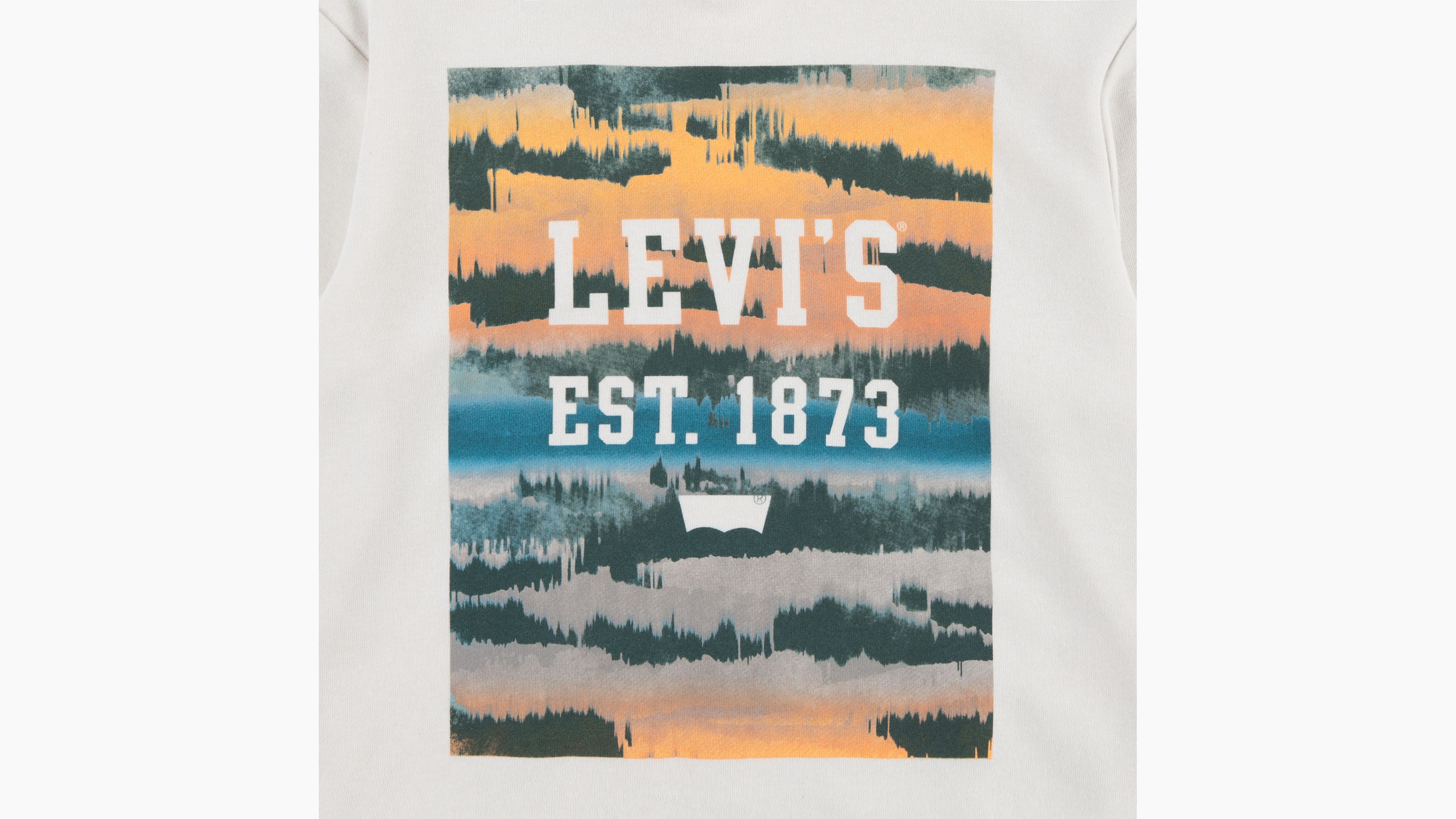 Ado sweat à capuche Landscape Box - Birch - Beige