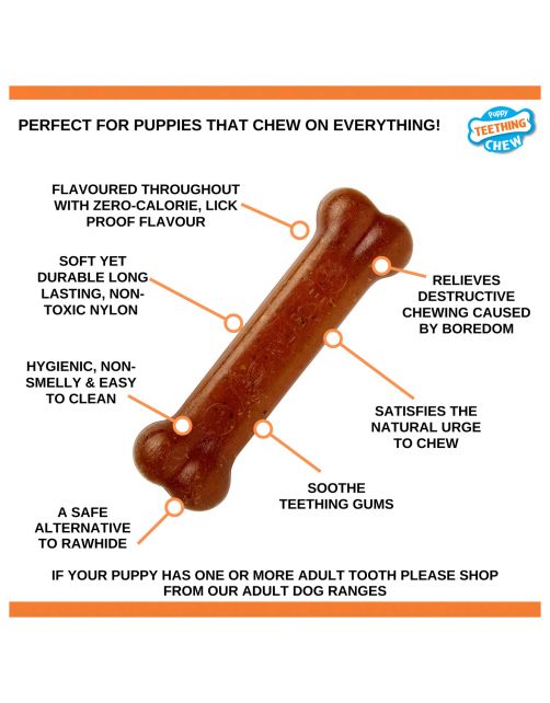 Nylabone Puppy Bone Flexible Bruin - Hondenspeelgoed