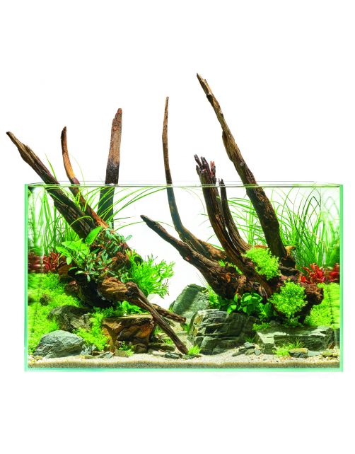 Oase Scaperline 60 Aquarium - Aquaria - 60x35x35 cm