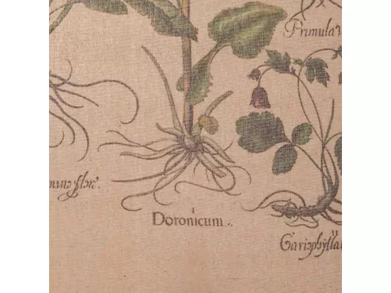 Toile de lin imprimée en parchemin