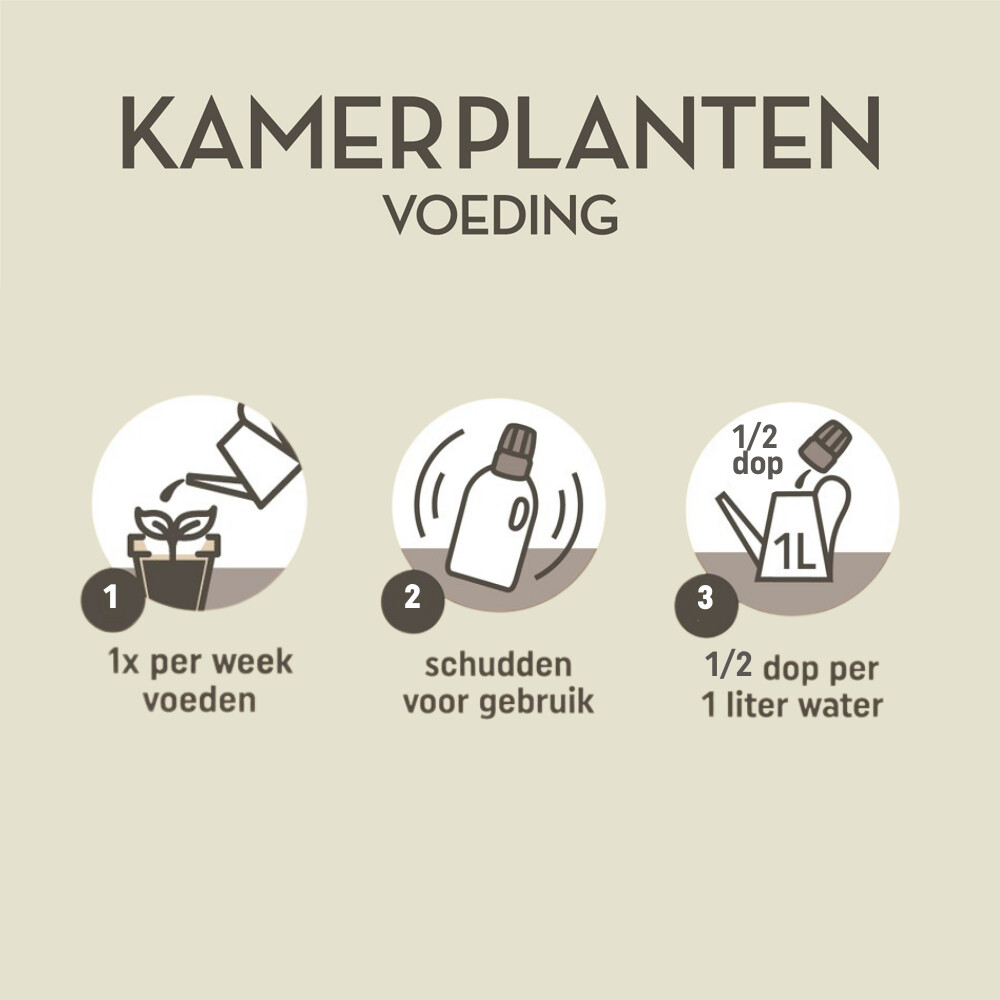 Pokon Plantenvoeding Kamerplanten1 liter