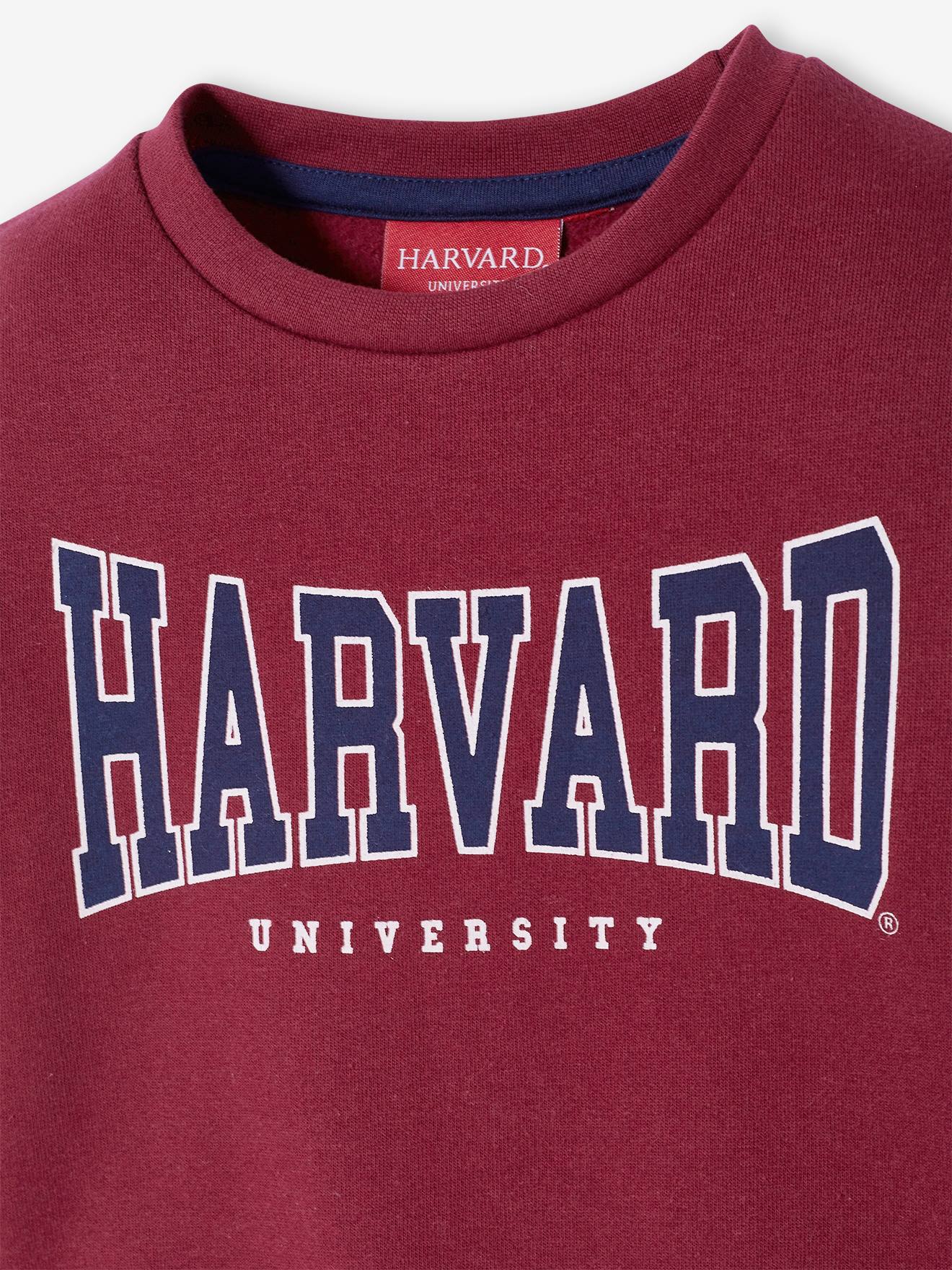 Moletom Harvard®, vermelho escuro, liso com estampas.
