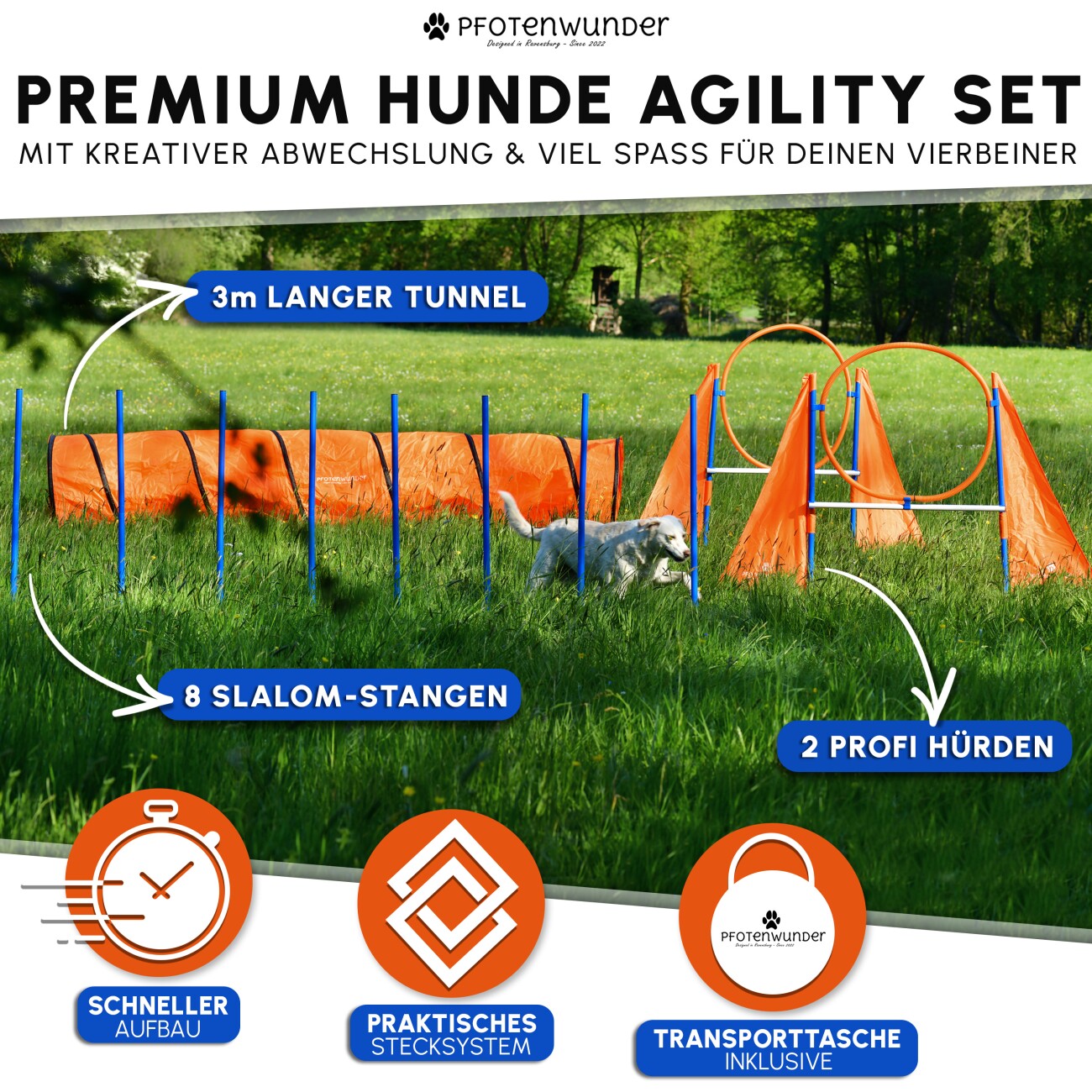 PfotenWunder® XXL-Profi-Agility Set Hunde Groß + 3 M-Tunnel + 21 Min. HUNDESCHULE - 6 Slalomstangen, für kleine & große Hunde-Training Sport Cavaletti Parcour Steckhürdenset Zubehör Hürden