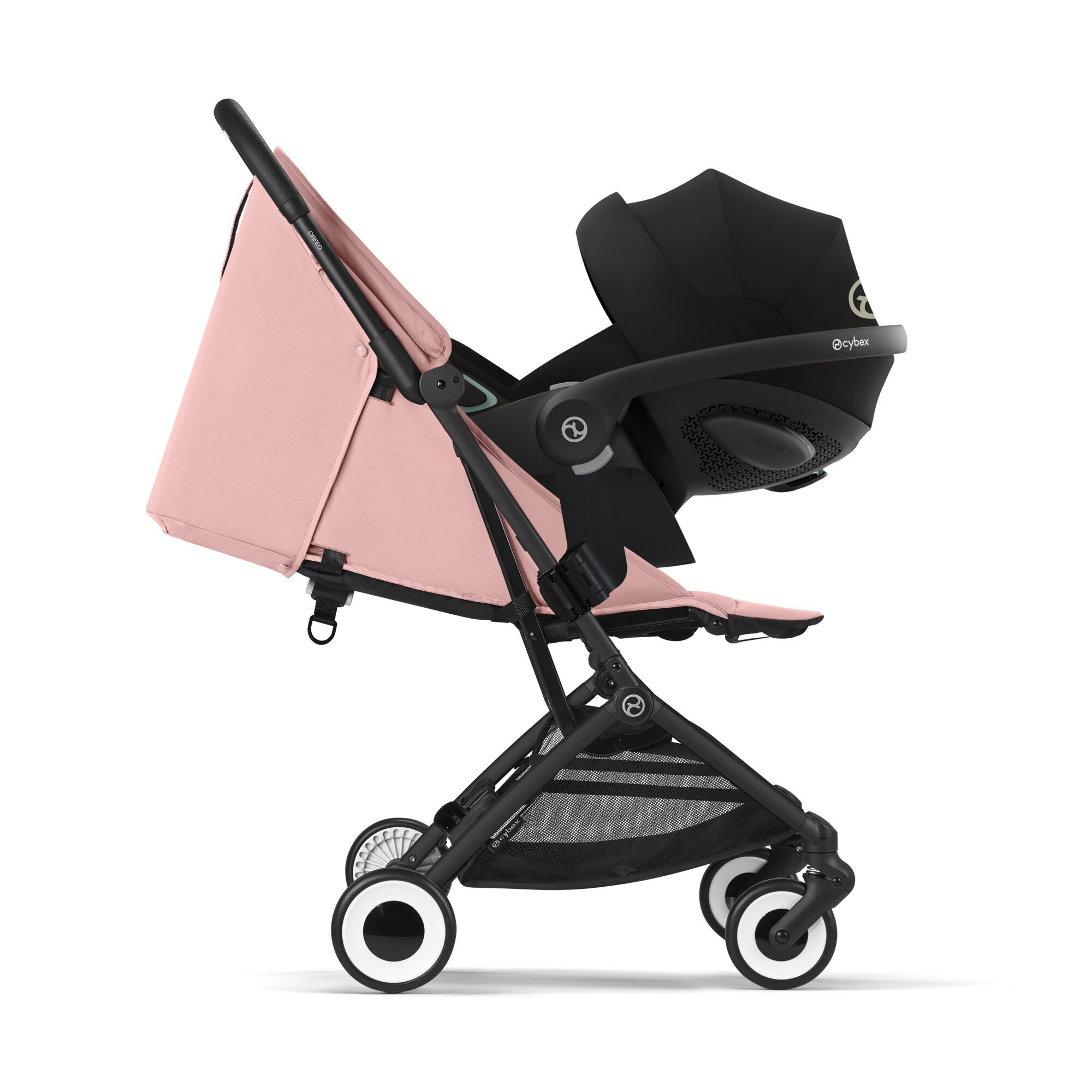 Orfeo Candy Pink