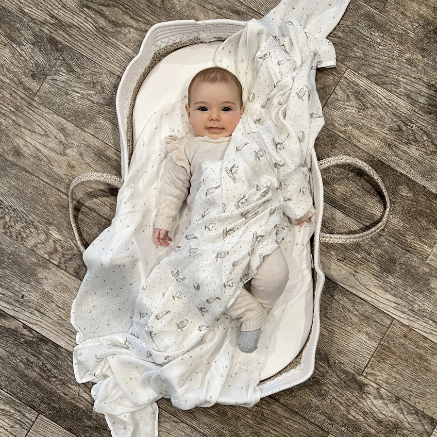 aden + anais™ essentials silky soft Pucktuch 2er-Pack healing nature