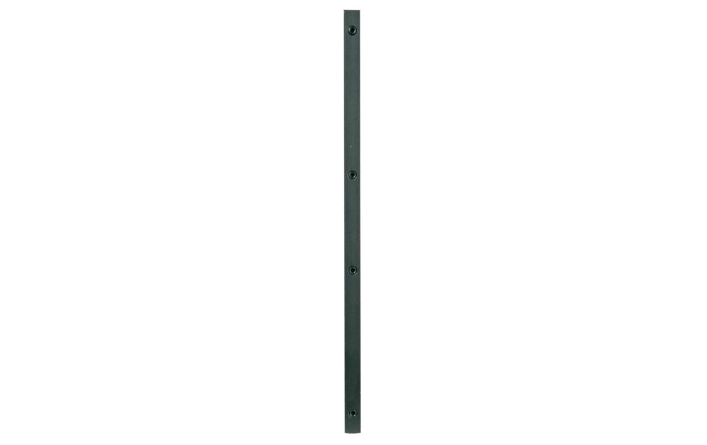 DeWalt Führungsschiene