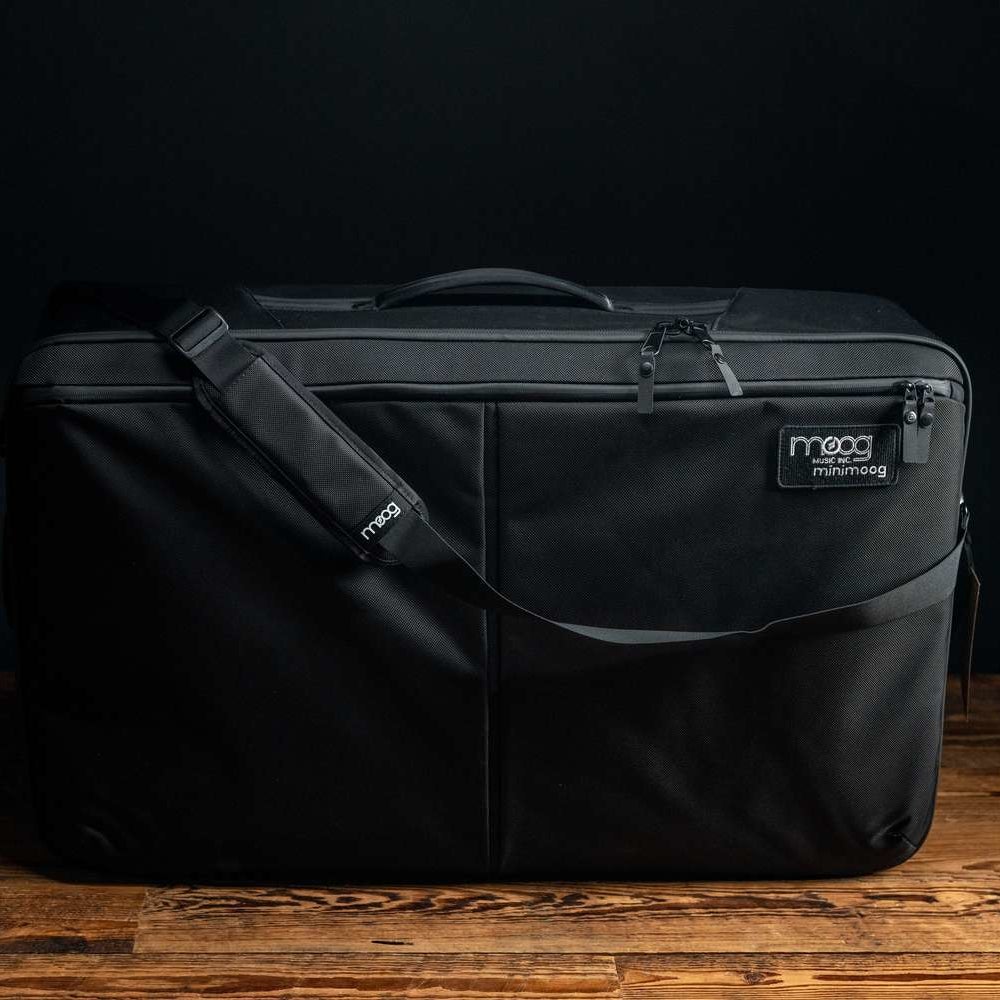Moog Model D SR Case