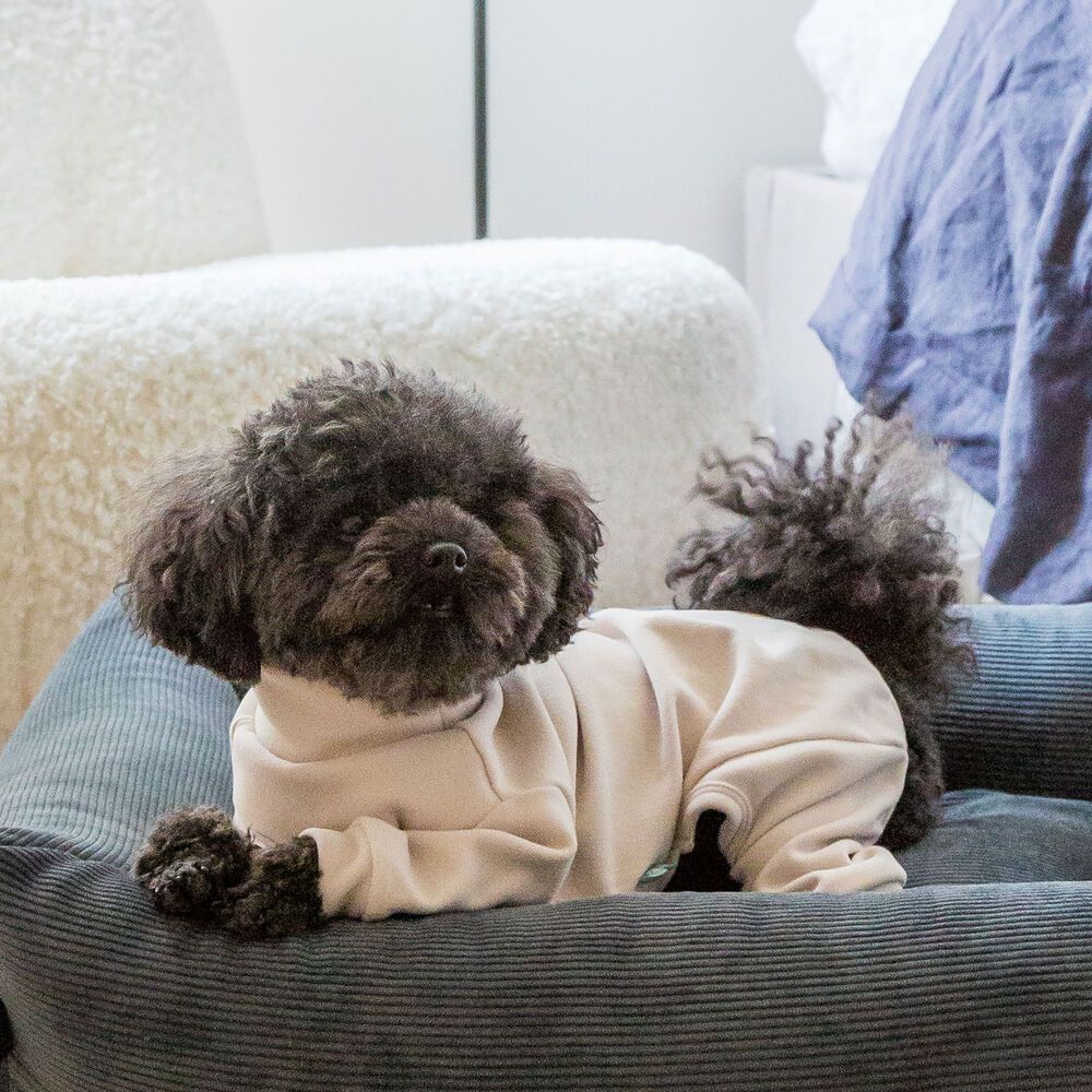FuzzYard LIFE Soft Touch Hunde Pyjama