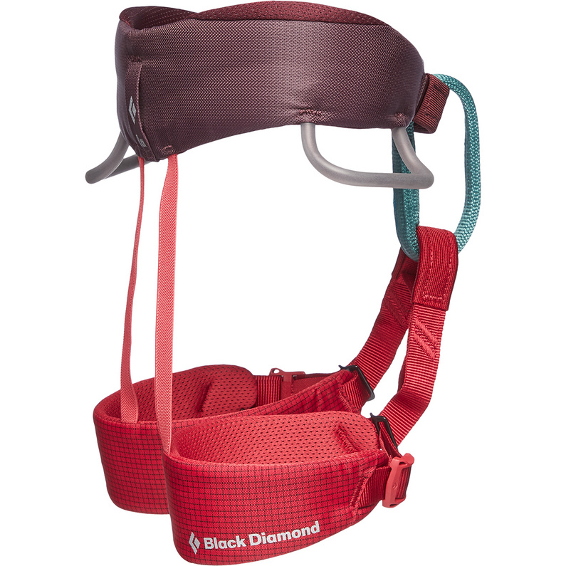 Black Diamond Kinder Momentum Klettergurt