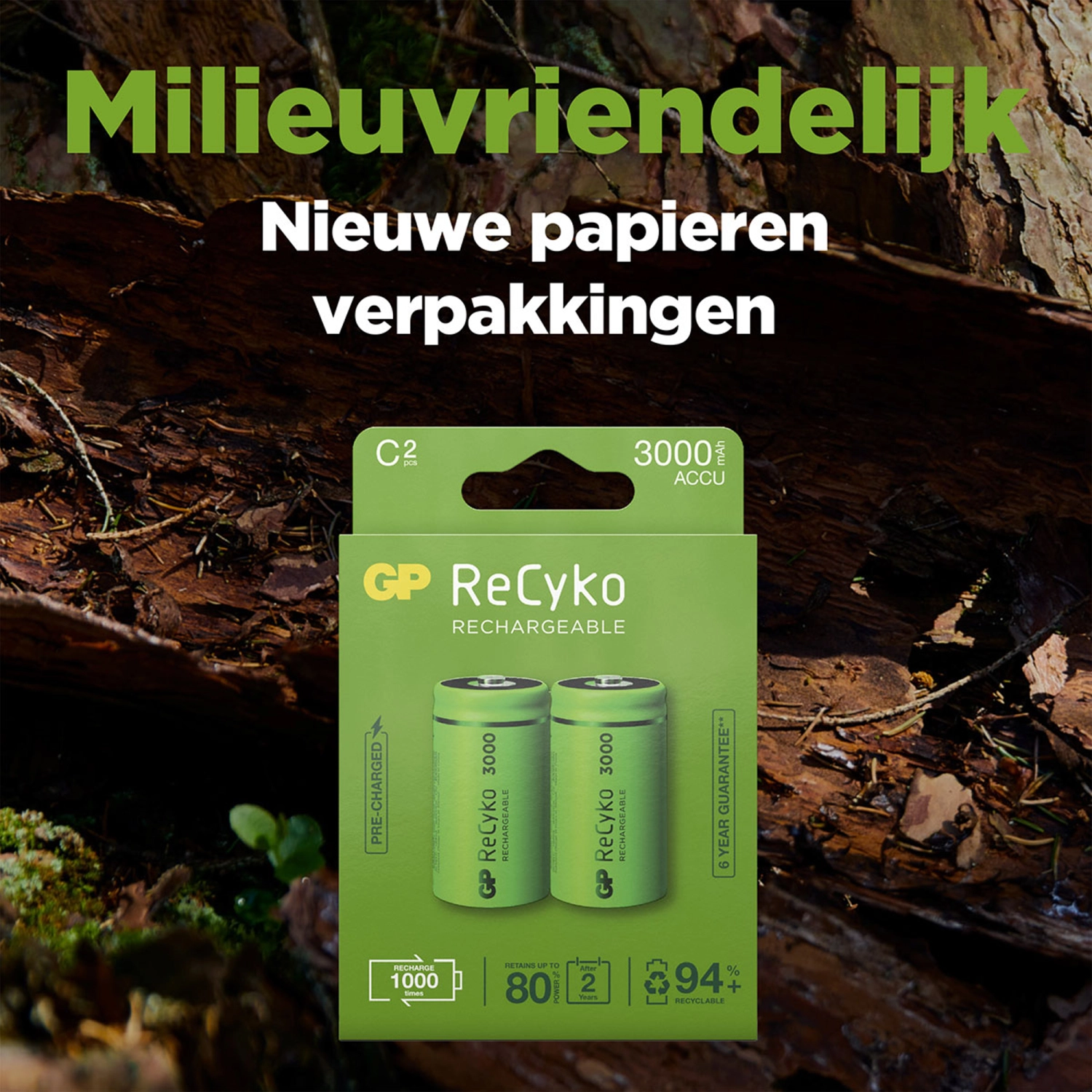 GP 3000mAh Oplaadbaar batterij -NiMH - 2x C - 120300CHCB-C2