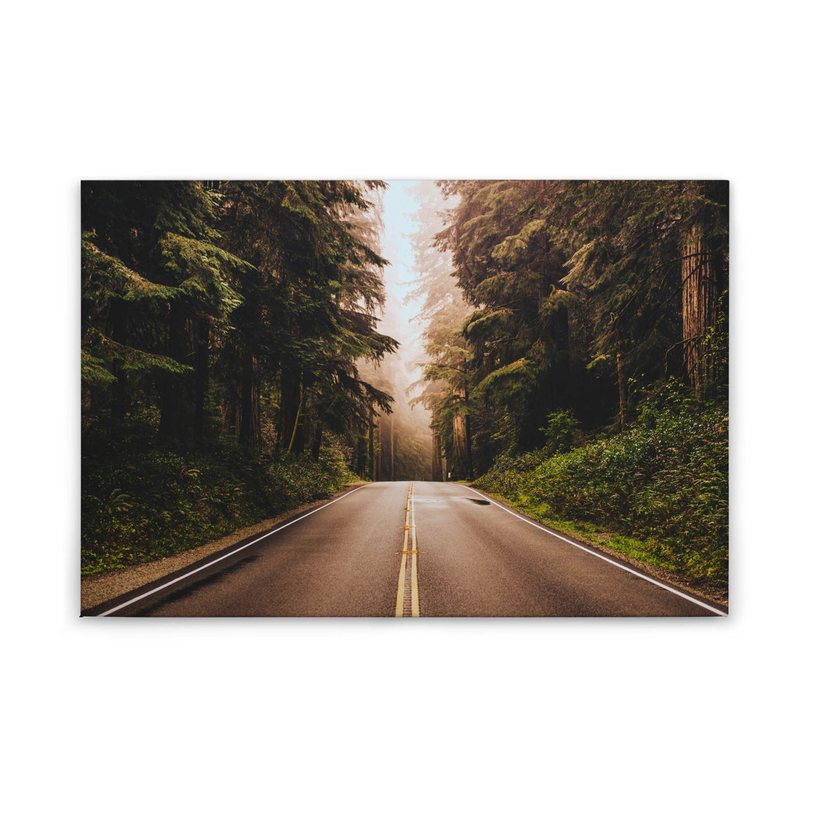 Leinwandbild ROADTRIP - grün-braun - 90x60 cm