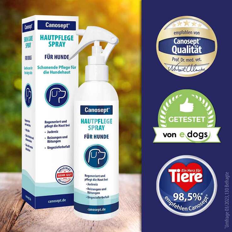 Canosept Hautpflege Spray für Hunde, 250 ml