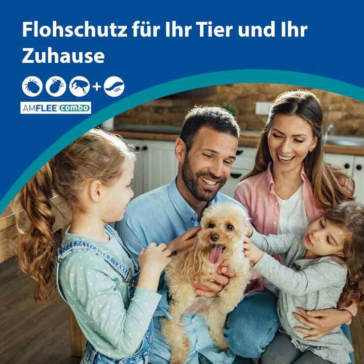 Amflee combo 402/361,8 mg Lösung zum Auftropfen für Hunde über 40 kg, 3 St