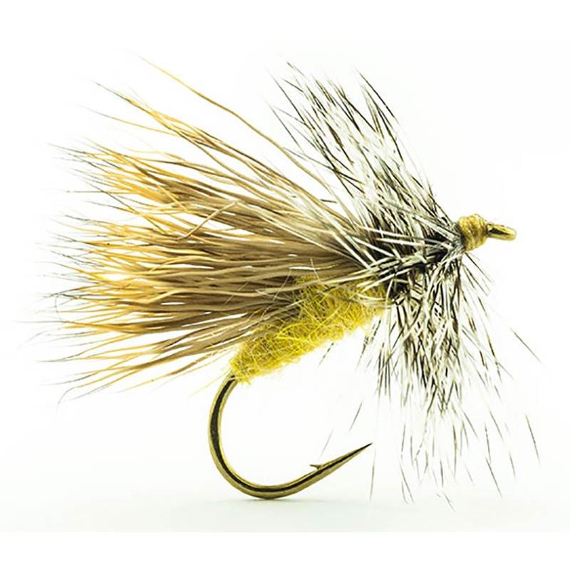Mouche Devaux Sedge Tricoptheres Ps 02 Bl