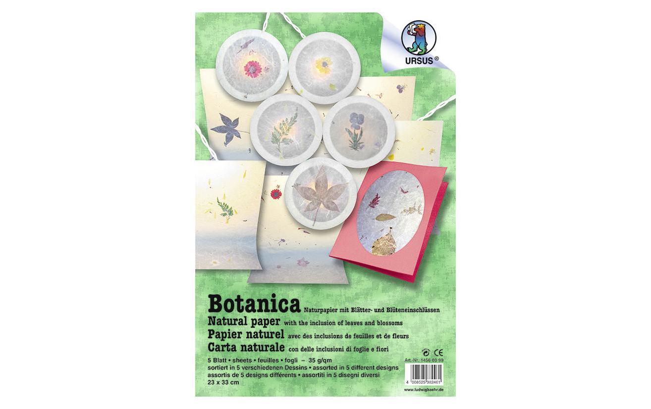 Bastelpapier Botanica 23 x 33 cm, 35 g/m², 5 BlattNaturpapier mit Blätter und Blüteneinschlüssen