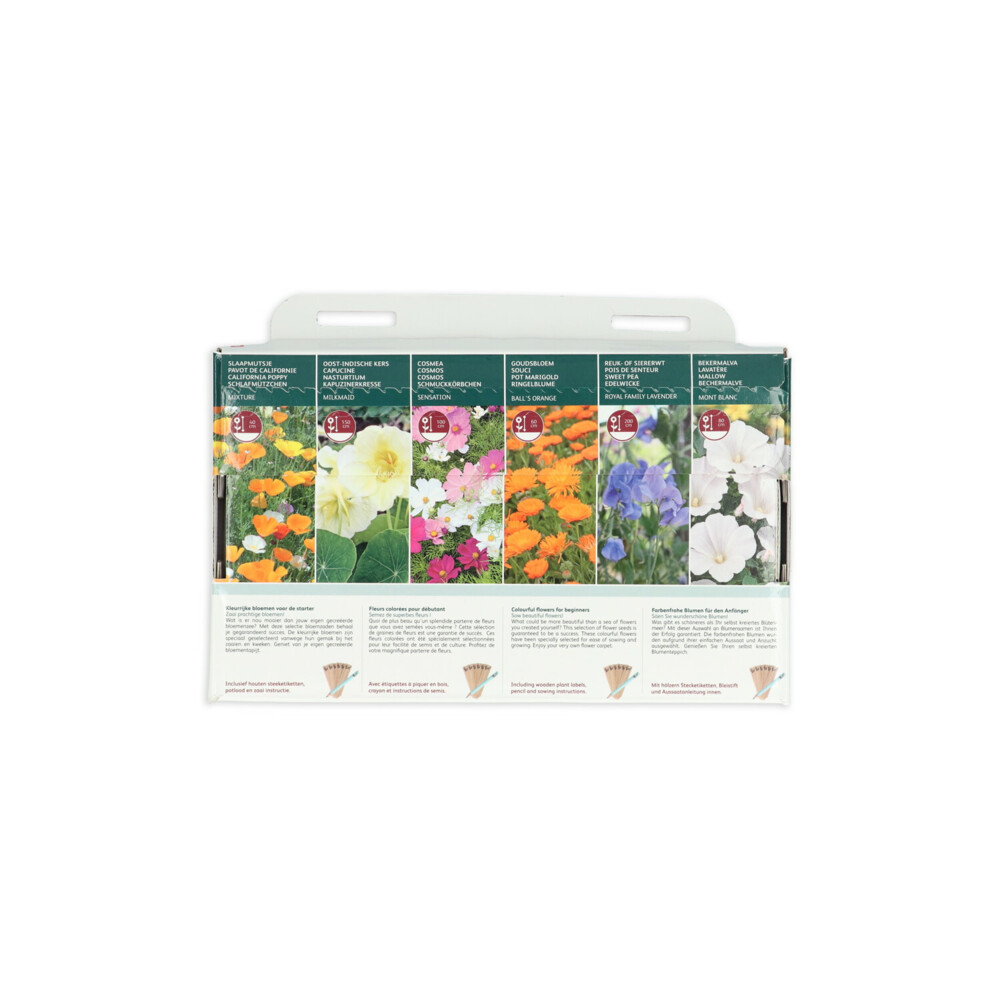 Buzzy Collection Kweekset 6 Kleurrijke Bloemen Voor De Starter1 set