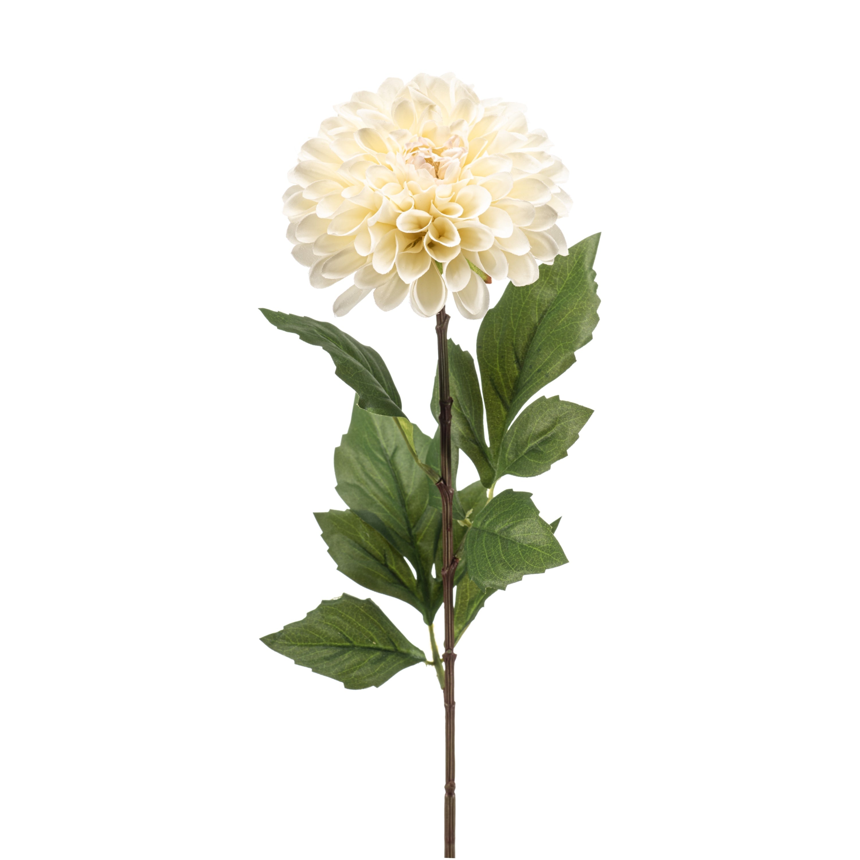 Fleurdirect Kunstbloem Dahlia - Creme|Wit -  - 0x66x0cm (BxHxD)